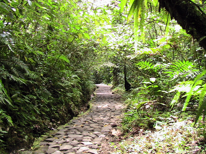 20a - Chutes du Carbet 005.jpg